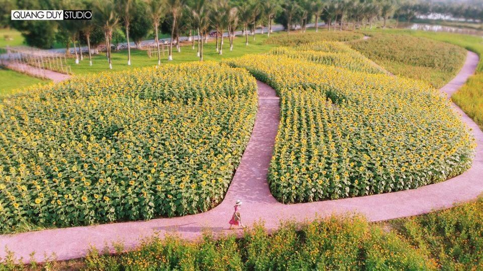 Sue Homestay Ecopark Hung Yen Экстерьер фото